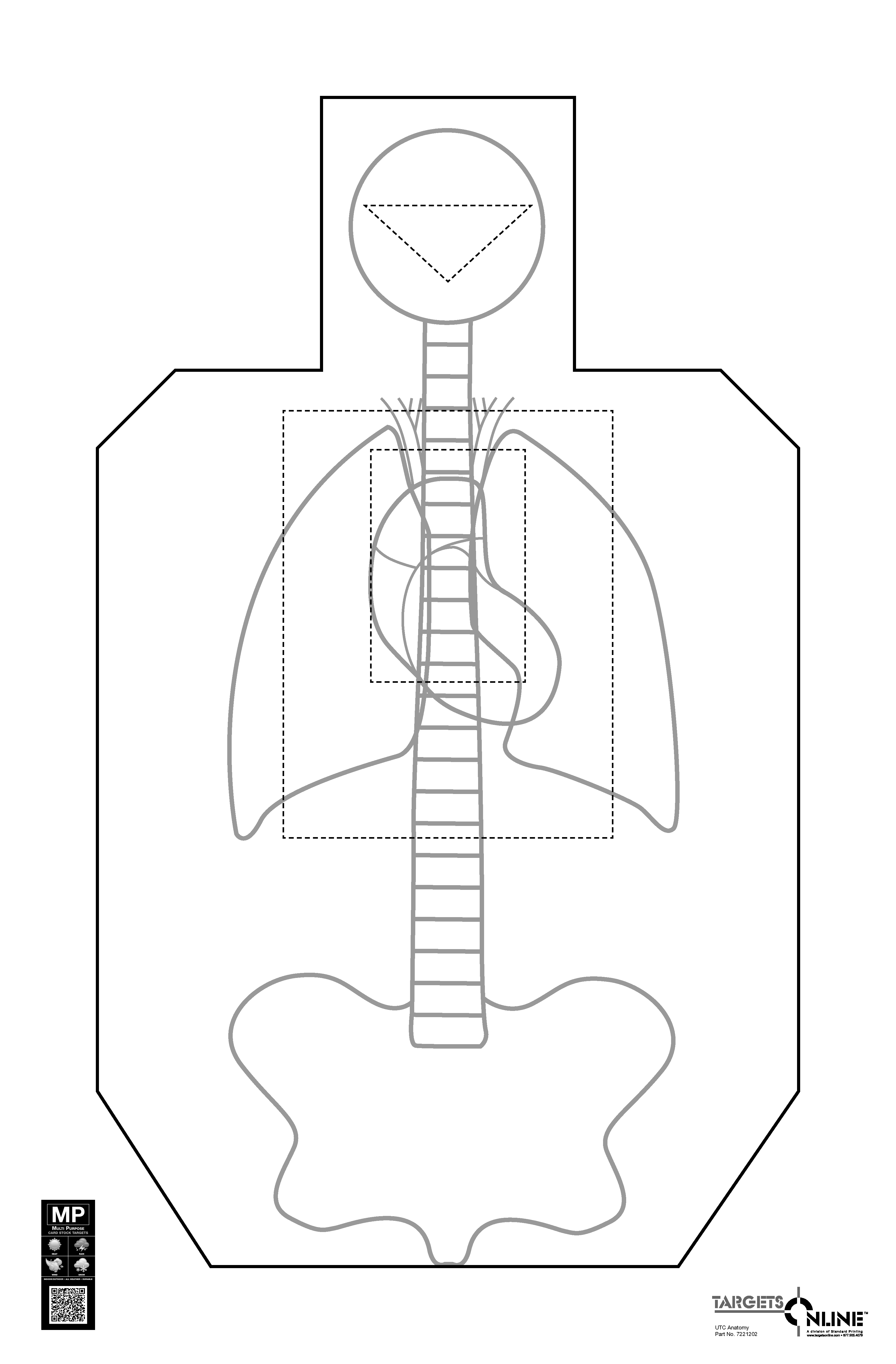 UTC Anatomy - Paper - Click Image to Close